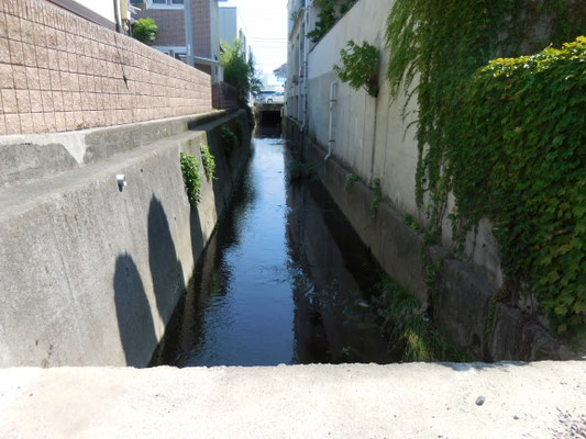 伊予かすり会館南から上流、国道437号の橋。
