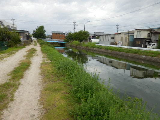 県道松山東部環状線の久万川橋。