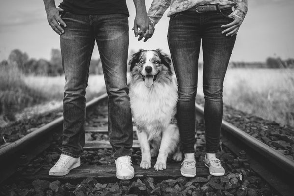 Pärchenshooting mit Hund auf alten Bahngleisen in Rockenberg. Authentische Outdoor-Fotografie für verliebte Hundebesitzer.