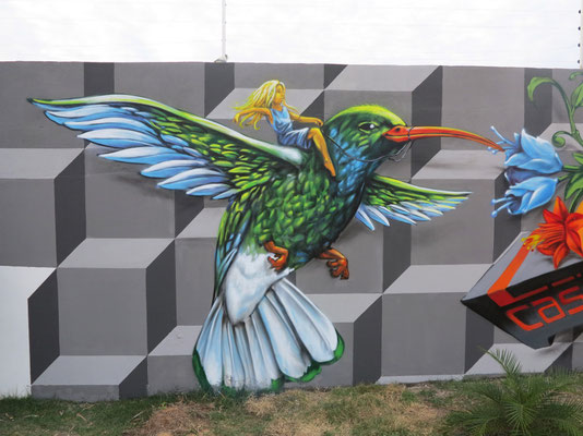 Casa Melucia, Canoa Quebrada, Brasil. Beija flor Detail