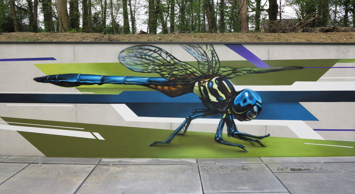 Dragonfly, Spray can on concrete, Mechelen, Belgium