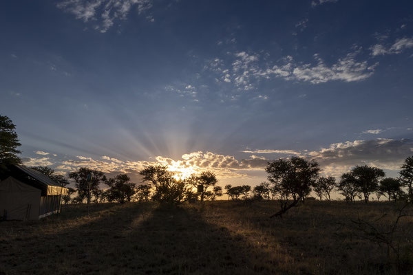Die Sonne geht auf in der Serengeti