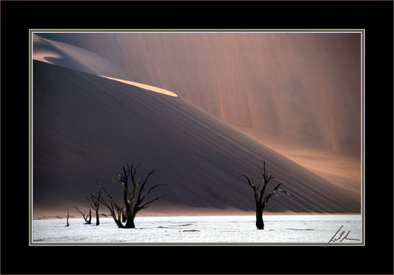 Namib