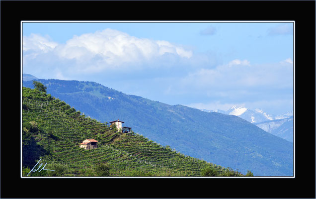 Prosecco-Region