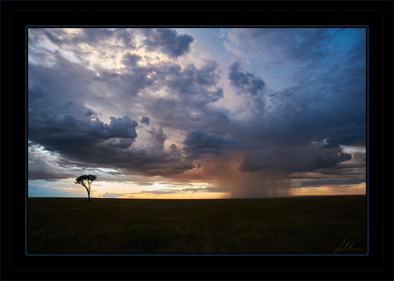 Kenia, Masai Mara