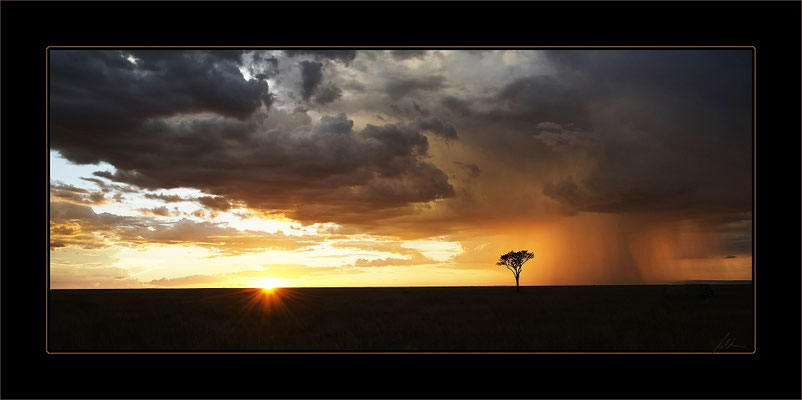 Kenia, Masai Mara