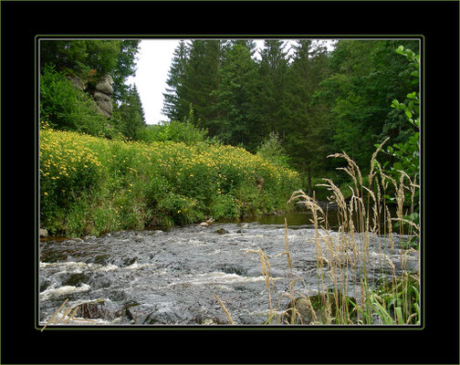 Mühlviertel
