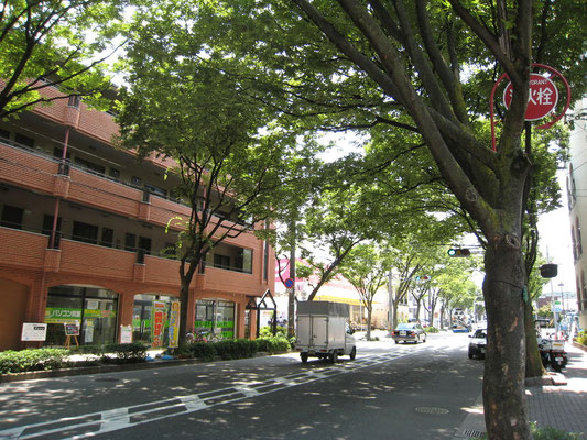 堺のけやき通り沿いのパソコン教室