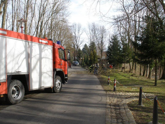 3 Bäume wurden mit Hilfe der FFW Döbern runtergesägt