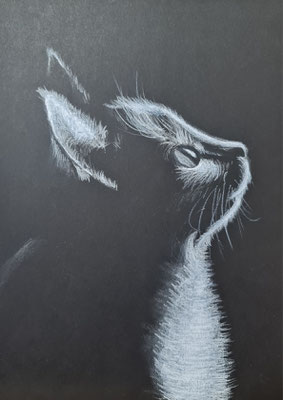 White China Marker On Black Paper - VERKAUFT 
