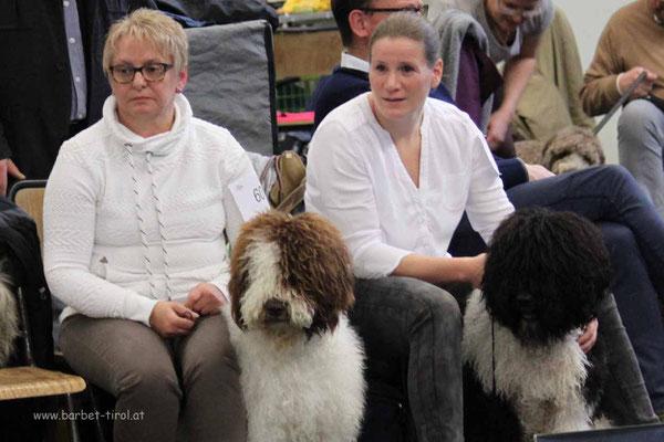 spannend was es dort alles so zu sehen gibt.... mal schauen wie die anderen Hunde und ihre Menschen im Ring laufen. Müssen wir uns ja ein wenig abschauen, denn wir sind heute zum ersten Mal auf einer Ausstellung