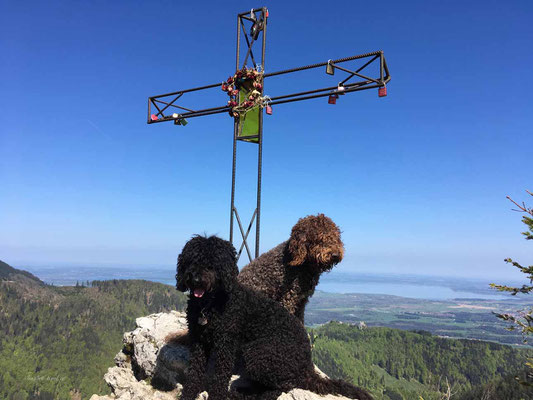 Platz ist am engsten Gipfelkreuz, im Hintergrund der Chiemsee