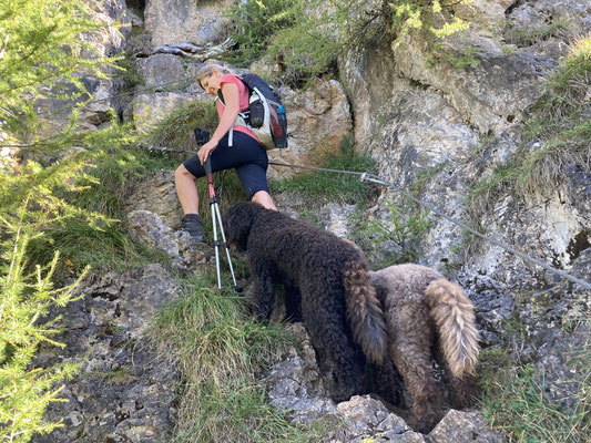 Seilversicherter Steig, unsere Mädels machen das super routiniert 