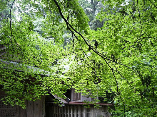 くしふる神社