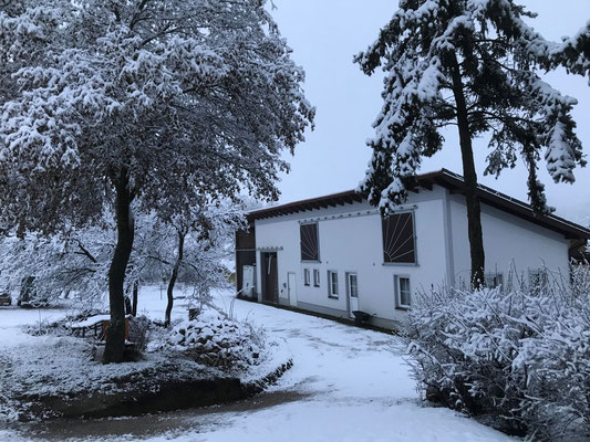 Hinterhofseite im Winter