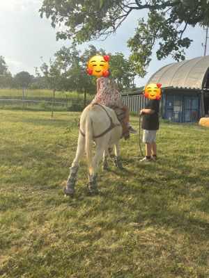Eselreiten am Kindergeburtstag