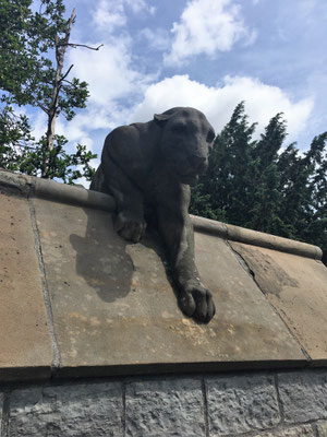 Cardiff: Animal Wall