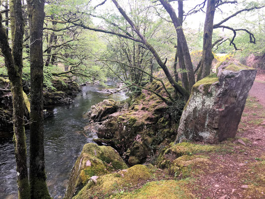 Wanderung im Lake District