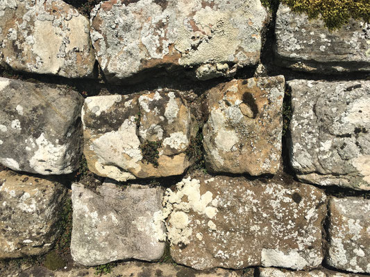 Der Hadrianswall