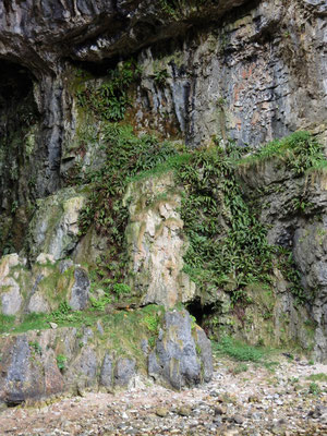 In der Smoo Cave