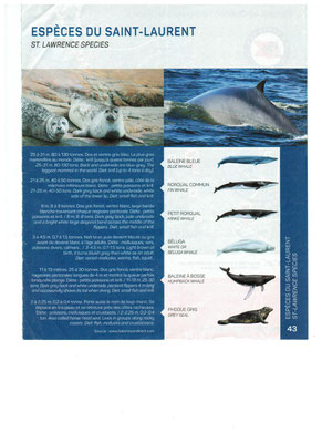 Aus dem Prospekt: Marine Park du Saguenay, St.Lawrence species