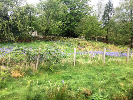 Auf der Fahrt von von Ravenglass nach Eskdale 
