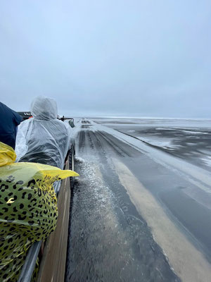 Die Fahrt nach Ingólfshöfði 
