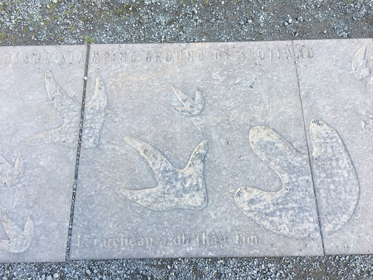Dinosaurierspuren