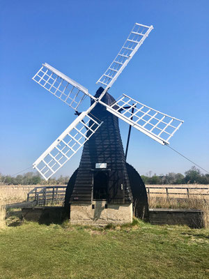 Windmühle im Wicked Fen