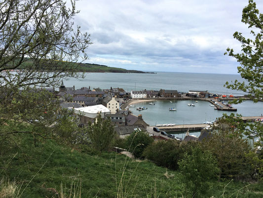 Stonehaven: der Hafen