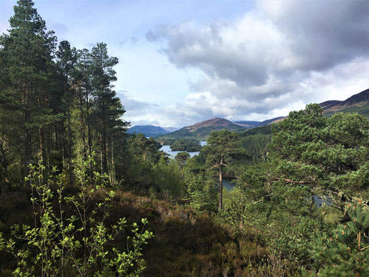 Ausblick auf den Loch Beinn a’ Mheadhoin