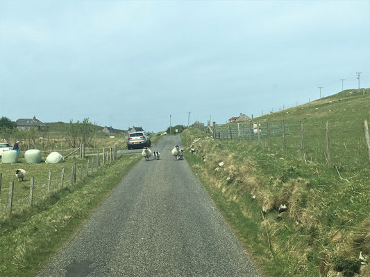 Der Weg nach Reef Beach 