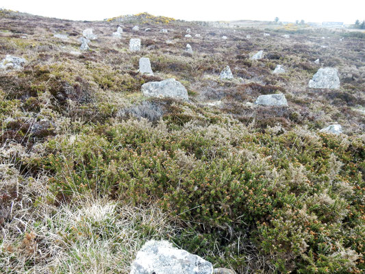 Hill Ó Many Stanes