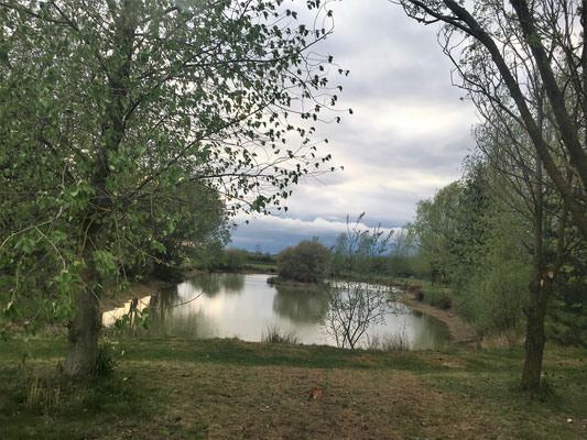 Unser Campingplatz auf einem Bauernhof bei Barrowby