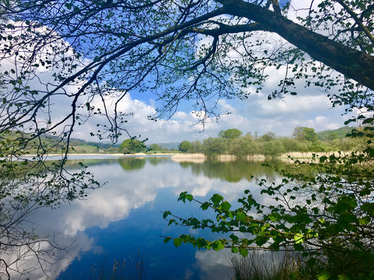 Esthwaite Water bei Near Sawrey 