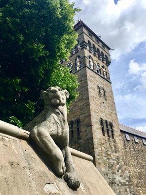 Cardiff: Animal Wall