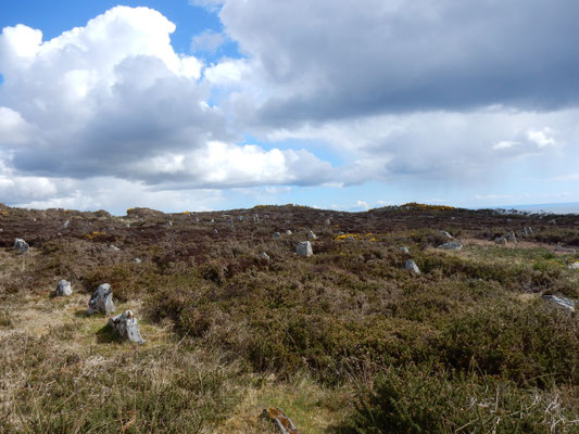 Hill Ó Many Stanes