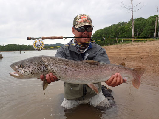 春のイトウ釣り 朱鞠内湖 フライフィッシンガイド Ito Hucho Japanese Taimen Fishing Guide Service Hokkaido Lodgeluckyfield ページ