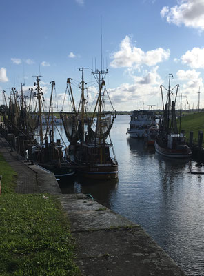 Greetsieler hafen mit Krabbenfischer