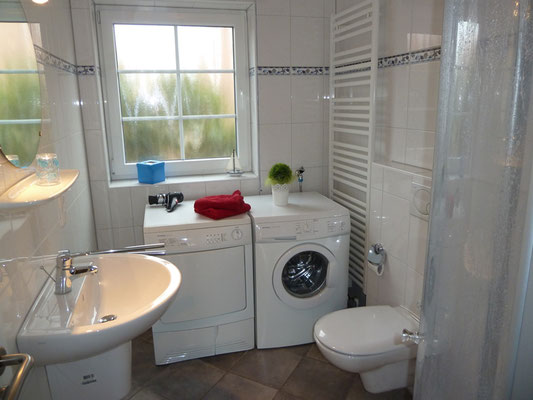 Bad im Erdgeschoss mit WC und Dusche sowie Waschmaschine und Trockner