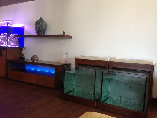 Arredo parete soggiorno - Vasche fish therapy rifinite