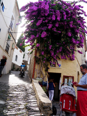 Cadaquès