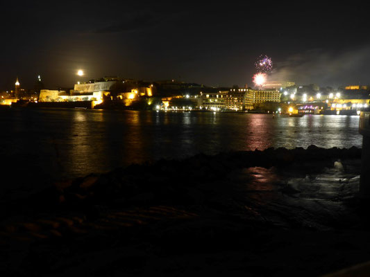 Maltese love fireworks, no matter...