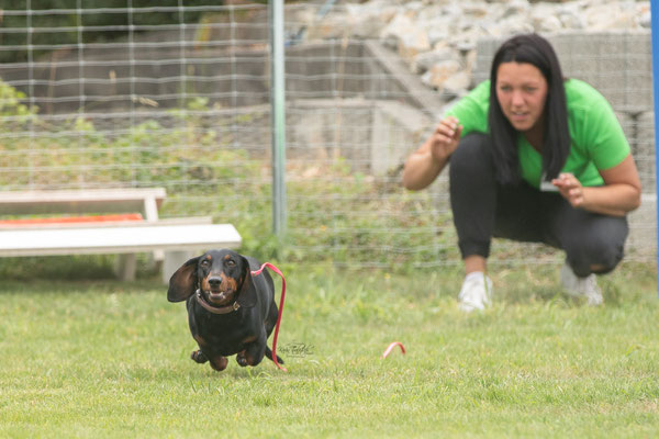 Feier Eröffnung neuer Standort bei der Hundeschule Hexenhof