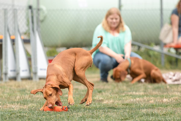 Feier Eröffnung neuer Standort bei der Hundeschule Hexenhof