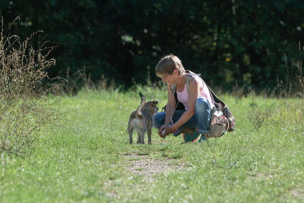 Train and Shoot - Dummytraining mit der Obedient Dog Hundeschule