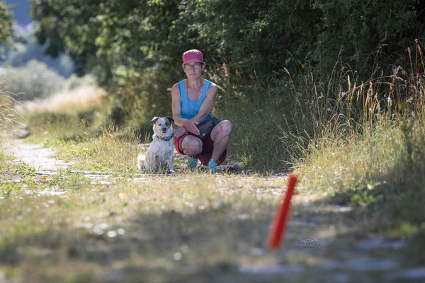 Train and Shoot - Dummytraining mit der Obedient Dog Hundeschule