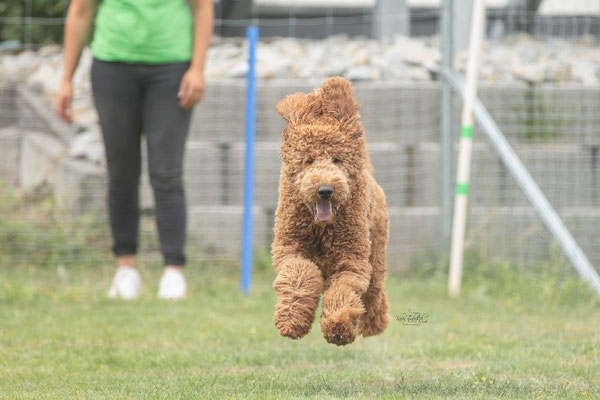 Feier Eröffnung neuer Standort bei der Hundeschule Hexenhof