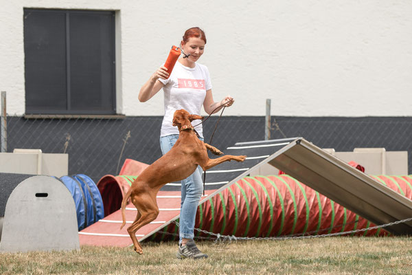 Feier Eröffnung neuer Standort bei der Hundeschule Hexenhof