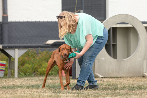Feier Eröffnung neuer Standort bei der Hundeschule Hexenhof